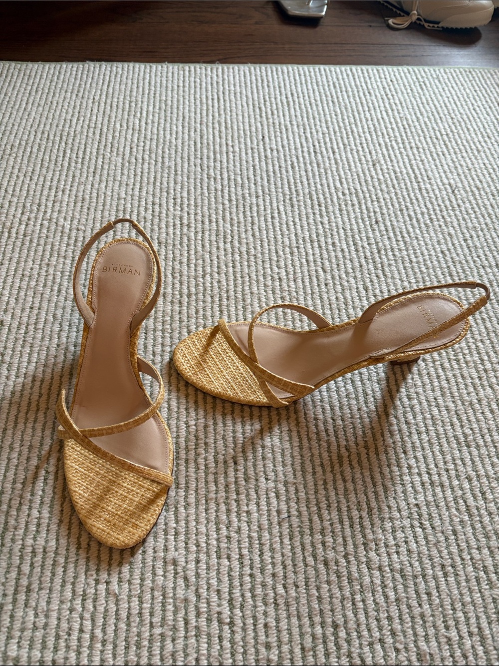 NWT Alexandre Birman Strappy Woven Kitten Heel Sandals